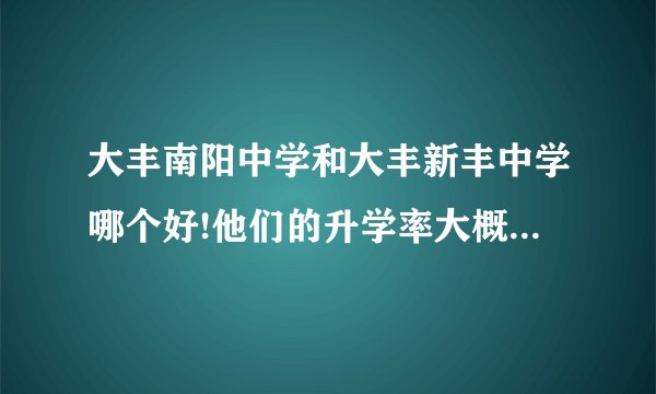 大丰南阳中学和大丰新丰中学哪个好!他们的升学率大概都是多少的（算上专科）？