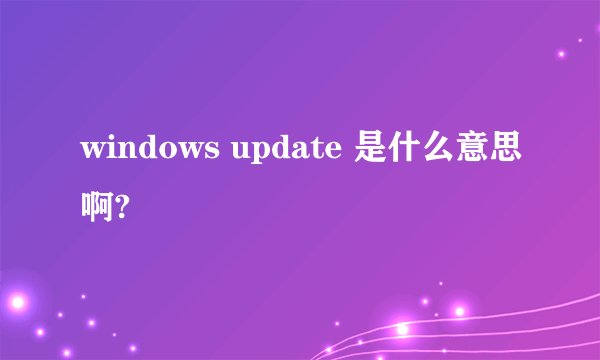 windows update 是什么意思啊?