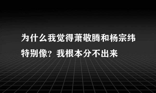 为什么我觉得萧敬腾和杨宗纬特别像？我根本分不出来