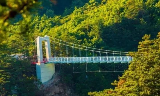 辽宁玻璃栈道发生事故，景点负责人对此有何回应？