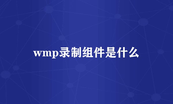 wmp录制组件是什么