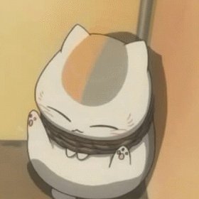 你家的猫做过哪些不可思议的事呢?