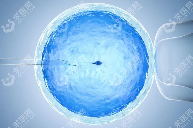 女方输卵管堵塞在广东中医大学城医院做试管要多少钱？