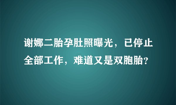 谢娜二胎孕肚照曝光，已停止全部工作，难道又是双胞胎？