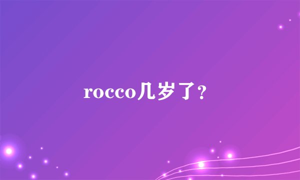 rocco几岁了？