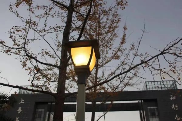 为什么有的大学生觉得疫情偷走了青春？