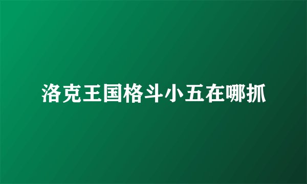 洛克王国格斗小五在哪抓