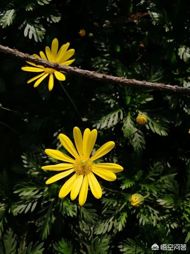 为何有些人喜欢去澳洲旅游?