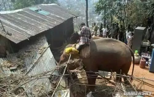 印度儿女多奇志 盘点开挂民族的搞笑日常