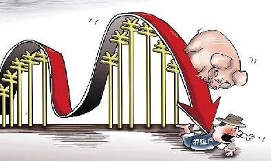 猪价跌幅这么大，养殖户亏损严重，国家会出手吗？