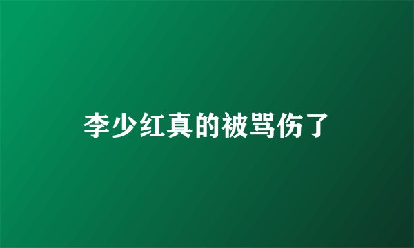 李少红真的被骂伤了