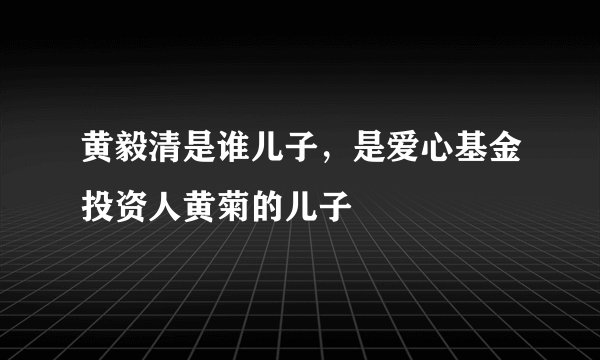 黄毅清是谁儿子，是爱心基金投资人黄菊的儿子