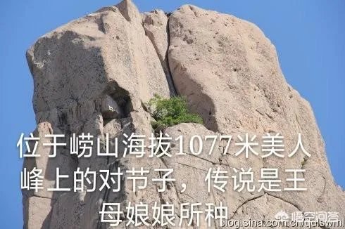 新的茶叶品牌如何做好社群营销？