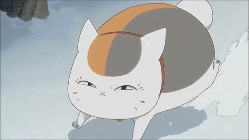 你家的猫做过哪些不可思议的事呢?