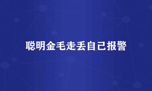 聪明金毛走丢自己报警