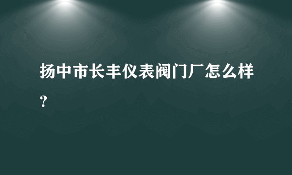 扬中市长丰仪表阀门厂怎么样？