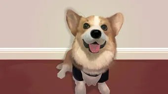 伊宁居民隔离宠物狗被扑杀,涉事干部被免,此事的处理方式有何不妥之处?