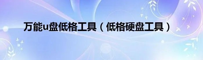 万能u盘低格工具（低格硬盘工具）