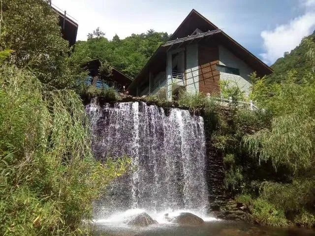 为什么每次乒乓球运动员得分以后都要怒吼？