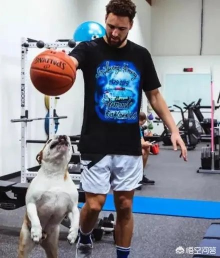 库里和克莱的伤势都怎么样了,什么时候可以打比赛?