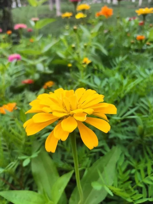 若无相欠,怎会遇见。你们相信,今生遇到的人是你该遇到的吗?