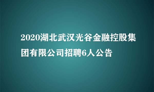 2020湖北武汉光谷金融控股集团有限公司招聘6人公告