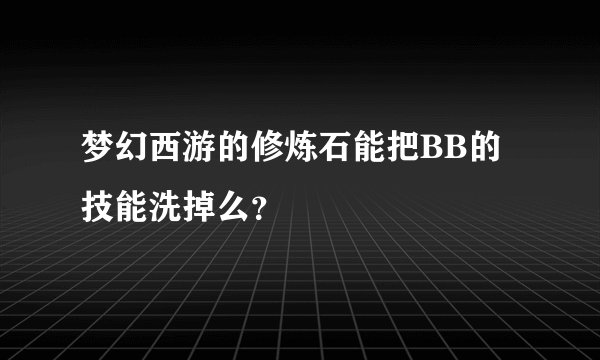 梦幻西游的修炼石能把BB的技能洗掉么？