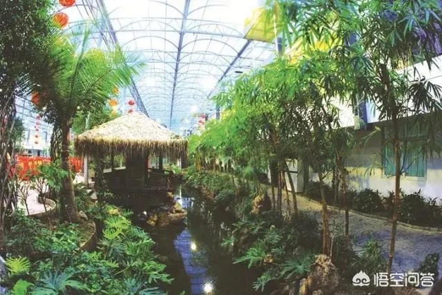 如何打造生态休闲农业园项目?