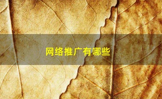 网络推广有哪些