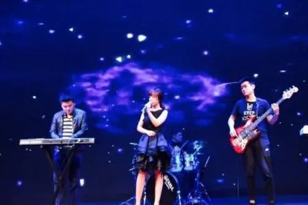 成都文理学院蓝皮书内容