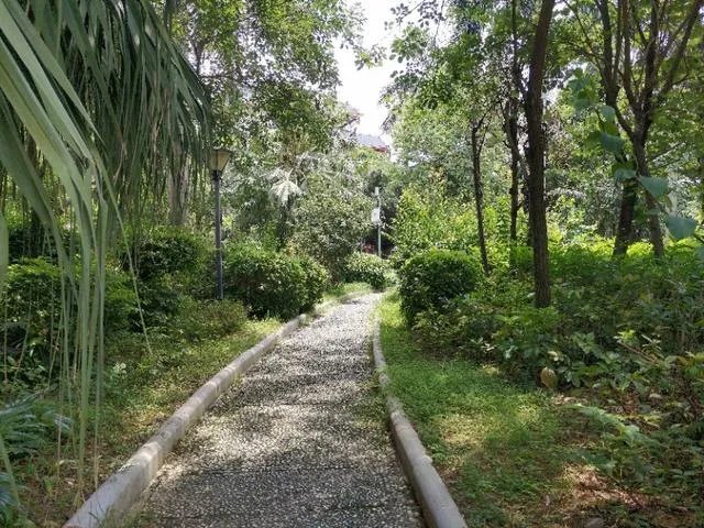 衡阳的南华大学,你觉得怎样?