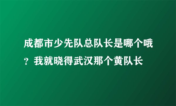 成都市少先队总队长是哪个哦？我就晓得武汉那个黄队长
