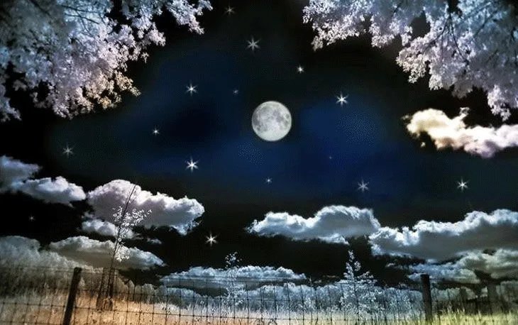 制作GIF动图,哪些软件简单易操作?