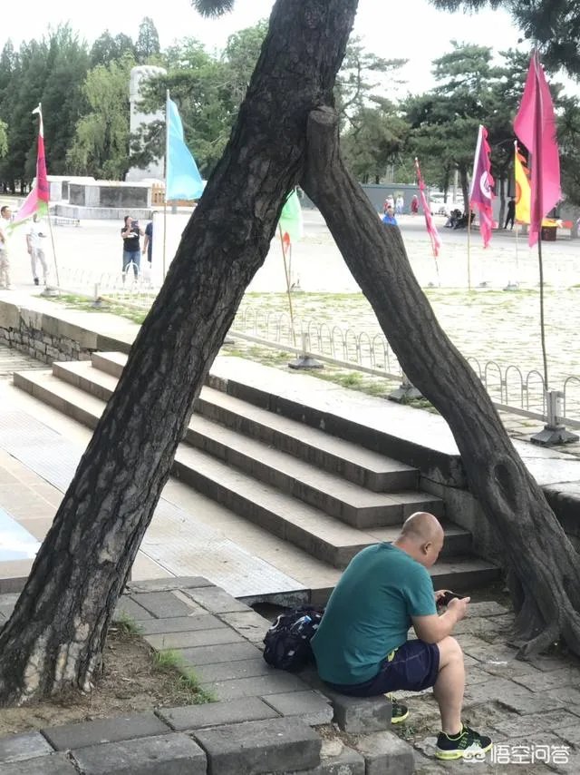 对于孙宇晨怼王思聪的事,你怎么评价?