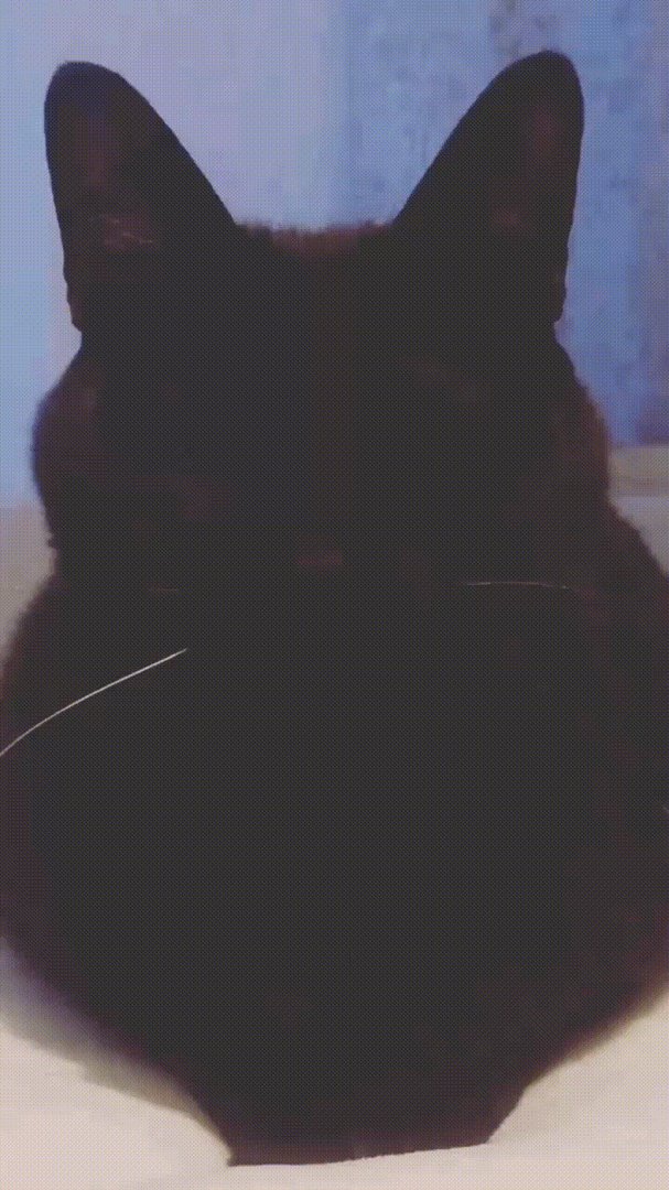 一条丝袜能穿多久？异世界舅妈变JOJO的动态图