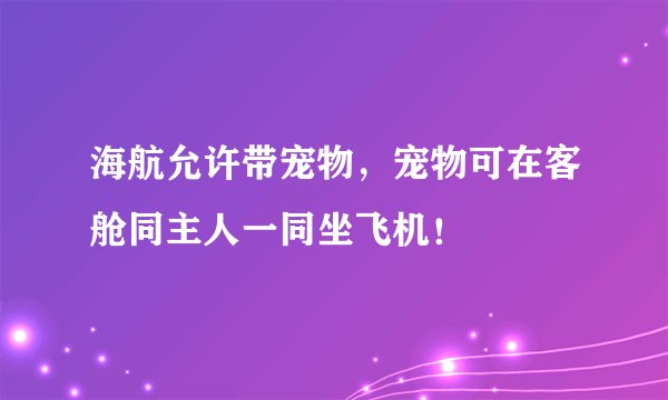 海航允许带宠物，宠物可在客舱同主人一同坐飞机！