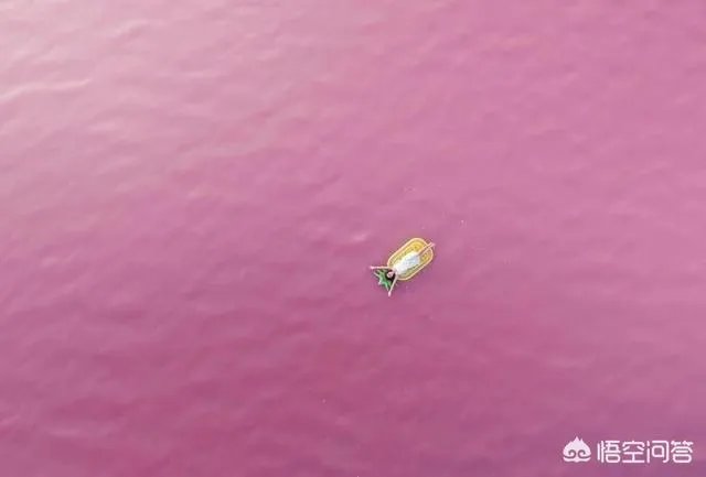 为何有些人喜欢去澳洲旅游?