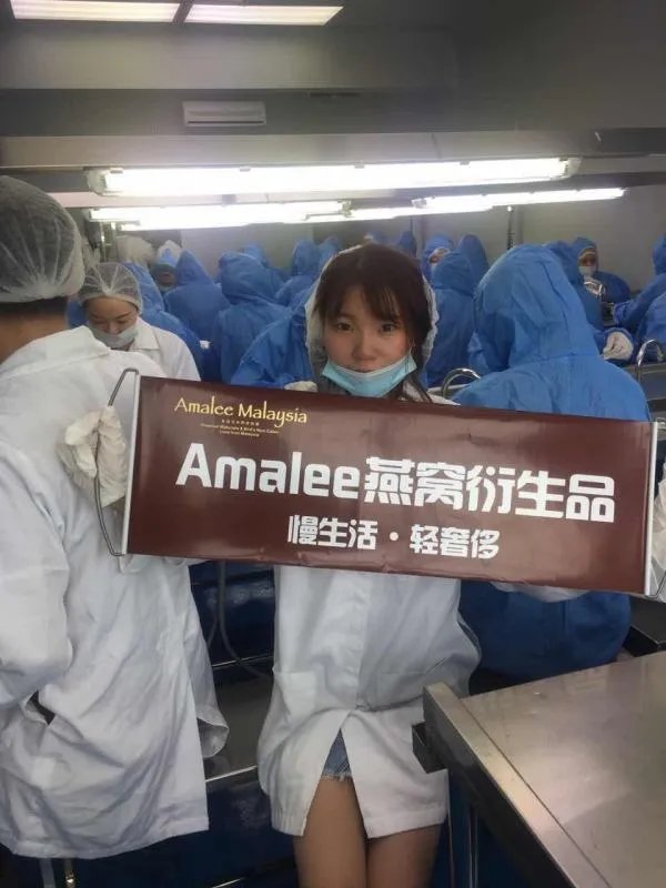 为什么卖马来西亚燕窝的人，都说印尼燕窝不好，看真相