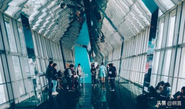 上海环球金融中心观光天阁好玩不？