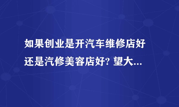 如果创业是开汽车维修店好 还是汽修美容店好? 望大家指点！