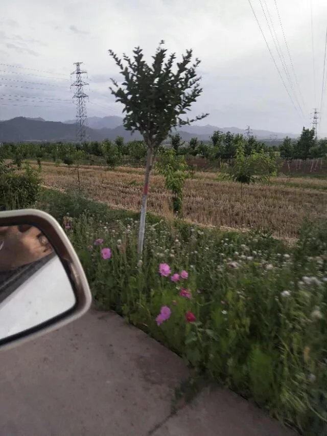 有车以后的生活