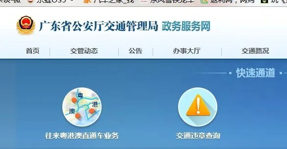 广东省公安厅交通管理局违章查询页面的验证码如何输入
