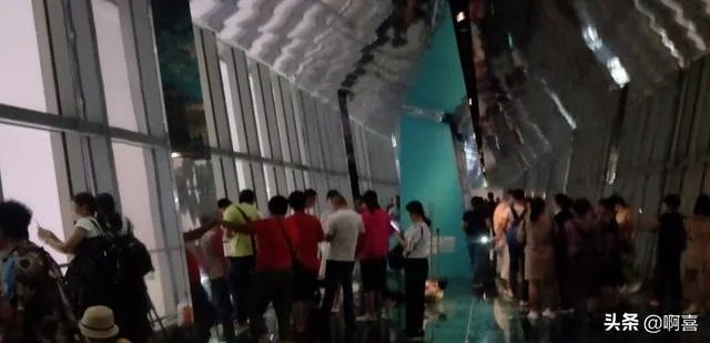 上海环球金融中心观光天阁好玩不？