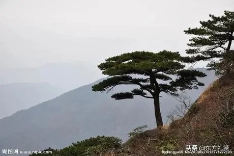 “你喜欢大海，我爱过你”是什么意思？如何理解这句话？