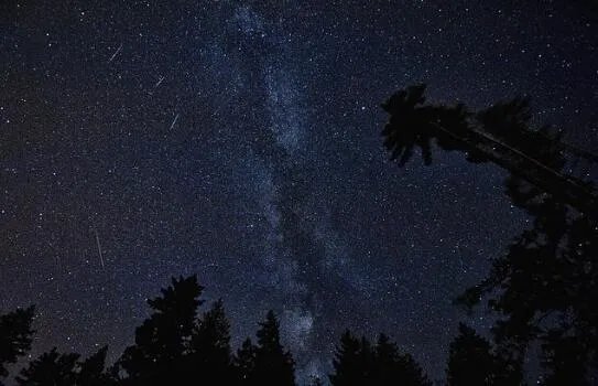 2020年8月流星雨时间表 今年8月流星雨观测时间地点