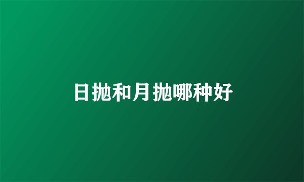 日抛和月抛哪种好