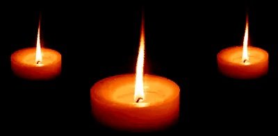 桑德斯退选意味着什么?