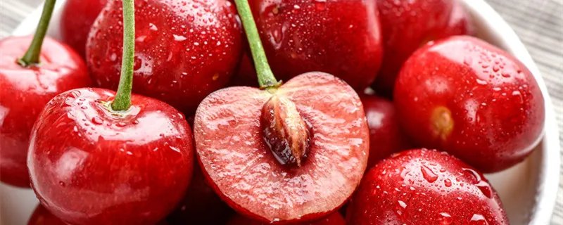 车厘子和樱桃是什么关系