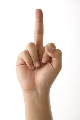 英国歌星在世界杯开幕式上为何竖中指?