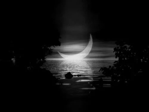 情义月光的创作背景